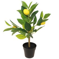 Article Citronnier artificiel citronnier en pot H40cm