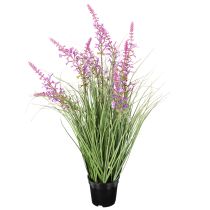Article Plante décorative à fleurs délicates pour une décoration de chambre élégante 67 cm