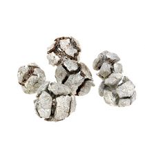 Article Cônes de cyprès 3cm Pommes de cyprès Blanchis 500g