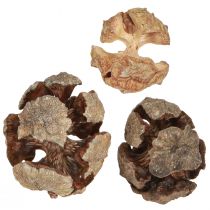 Article Cônes de cyprès cônes de cyprès naturels décoratifs 2-4cm 250g