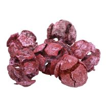 Article Cônes de cyprès décor naturel givré 3cm rouge foncé 500g