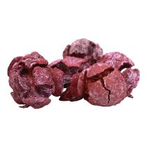 Article Cônes de cyprès décor naturel givré 3cm rouge foncé 500g