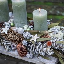 Article Cônes de cyprès décor naturel givré 3cm vert 500g