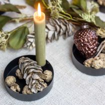 Cônes cyprès nature, décoration de Noël, cônes artisanaux plaqués or Ø2–3cm H2,5–3,5g 330g