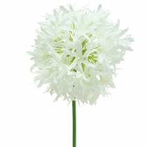 Article Allium artificiel Blanc Ø12cm H62cm