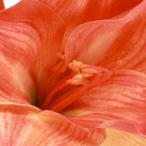 Article Amaryllis fleurs décoratives orange artificielles L55cm 2pcs