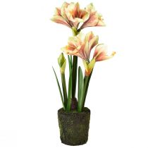 Article Amaryllis en boule de mousse artificielle à fleurs à motifs rose-jaune - 45 cm - Décoration exotique et stylée