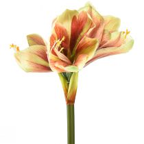 Article Fleur d&#39;amaryllis artificielle rose et jaune - 66 cm - idée cadeau idéale et décoration élégante pour intérieur