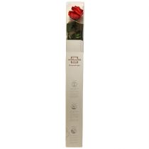 Article Rose Infini aux Feuilles Stabilisées Rouge Amorosa L54cm