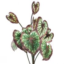 Article Bégonia Plantes Artificielles Feuille Bégonias Vert Violet 62cm