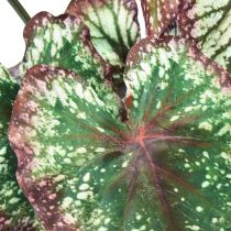 Article Bégonia Plantes Artificielles Feuille Bégonias Vert Violet 62cm