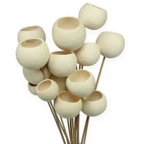 Article Bell Cup Mix sur bâtonnet blanchi 15 pcs