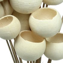 Article Bell Cup Mix sur bâtonnet blanchi 15 pcs