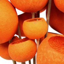 Bell Cup Mix sur bâton Orange 15pcs