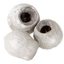 Article Bellgums blanchis à la chaux 2cm - 5cm 500g