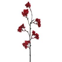 Branche de baies rouges 50 cm 4 p.