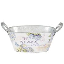 Article Coupe ovale en métal avec anses, pour hortensias, 32×15×15cm