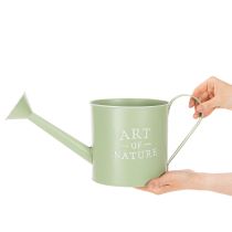 Article Pot de fleurs, arrosoir décoratif, jardinière en zinc vert menthe, Ø16,5 cm