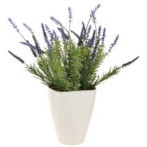 Article Pot de fleur plastique pot d&#39;orchidée plastique blanc H16,5cm 4pcs