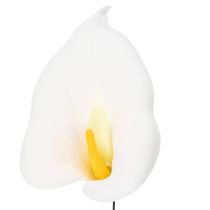 Article Arums, taille moyenne, sur fil de fer, 50 pièces