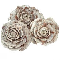 Article Cônes de cèdre coupés en cèdre rose rose 4-6cm blanc/naturel 50 pièces