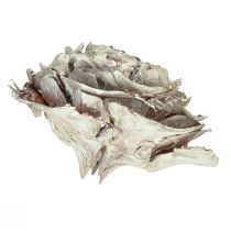 Article Cônes de cèdre coupés en cèdre rose rose 4-6cm blanc/naturel 50 pièces