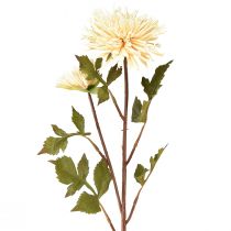 Article Fleur artificielle chrysanthème crème avec 2 fleurs L70cm