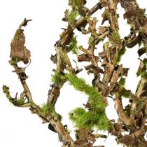 Article Branche décorative avec mousse artificielle décoration d&#39;automne gris vert L78cm