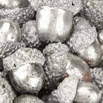 Article Glands décoratifs argentés, décoration de l'Avent, fruits d'automne naturels, maison de campagne Ø1,5 – 2,5cm L1,5 – 3cm 300g