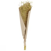 Article Fleurs de lin séchées décoratives vert olive 50 g