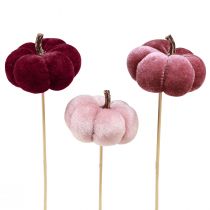 Article Citrouille décorative en tissu citrouille sur bâton rose bordeaux Ø7cm 9 pcs