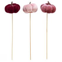 Article Citrouille décorative en tissu citrouille sur bâton rose bordeaux Ø7cm 9 pcs
