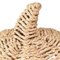 Article Citrouille décorative en raphia naturel rustique décoration d'automne Ø25cm H25cm