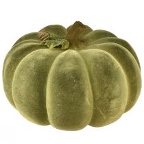 Article Citrouille déco floquée vert – veloutée, belle décoration d&#39;automne 32cm