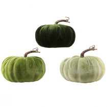 Article Citrouille décorative vert automne vert foncé vert clair Ø18cm 3 pcs