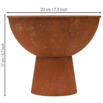 Article Coupe décorative sur pied, coupe en forme de gobelet, métal couleur rouille, Ø 20,5 cm, lot de 2