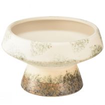 Article Bol décoratif en céramique avec socle crème gris vert Ø17cm 10cm