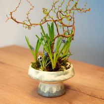 Article Bol décoratif en céramique avec socle crème gris vert Ø17cm 10cm