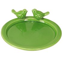 Article Assiette décorative bain d&#39;oiseaux décoration de table céramique verte Ø20,5cm 2pcs