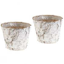 Article Pot déco bouleau blanchi cache-pot Ø18cm H15cm 2pcs