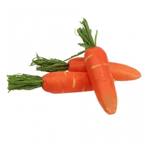 Carottes déco orange 11cm 12pcs