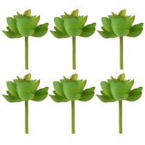 Article Echeveria Succulentes Artificielles Vert Ø7cm 6 pcs