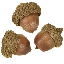 Article Glands pour décoration, décoration d'automne, fruits d'automne naturels Ø1,5 – 2,5cm L1,5 – 3cm 300g