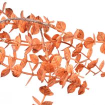 Article Cintre Eucalyptus Artificiel Automne Eucalyptus Orange 150cm