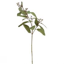Article Branche d'eucalyptus branche décorative artificielle branche artificielle verte 60cm