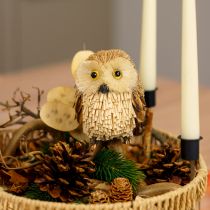 Article Chouette figurines décoratives automne avec cônes 12,5×10×10cm 2pcs