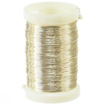 Article Fil de fleuriste fil de myrte champagne 0,30mm 100g 3 pcs