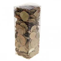 Article Feuilles séchées, Moneta décorative, compositions florales séchées, naturelles, 200 g