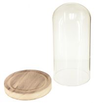 Article Cloche en verre avec socle en bois naturel clair Ø12cm H21cm