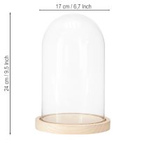 Article Cloche en verre sur plateau en bois, pot en verre, transparent, naturel, Ø17cm, H24cm
